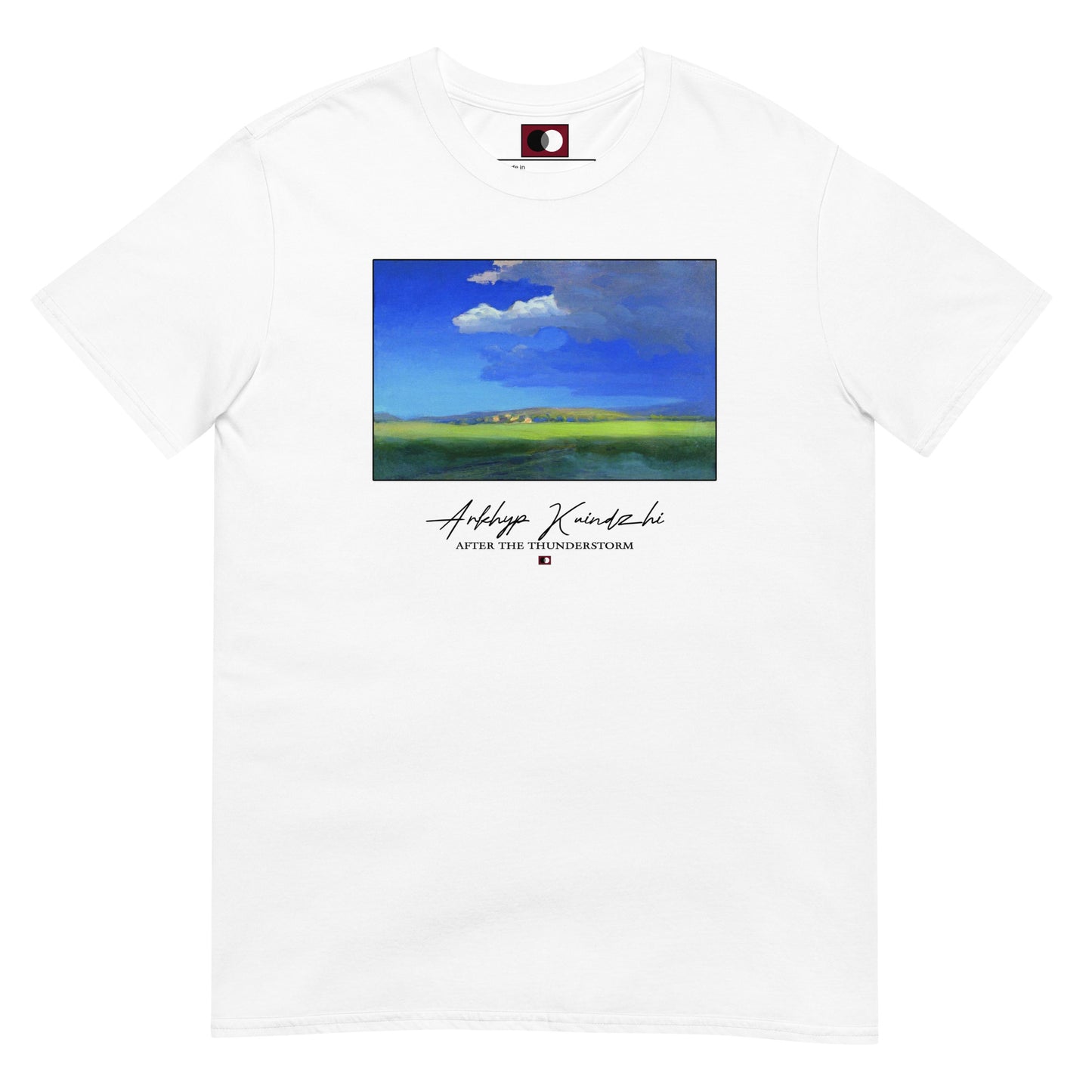 AFTER THE THUNDERSTORM T-SHIRT